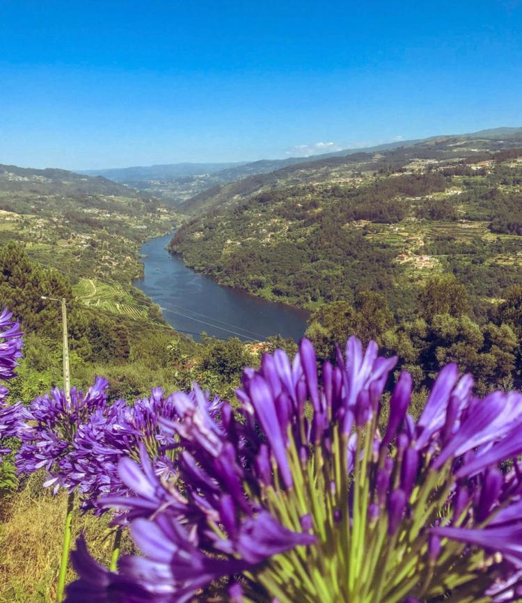 Mira Douro Valley Home Marco de Canavezes Екстериор снимка
