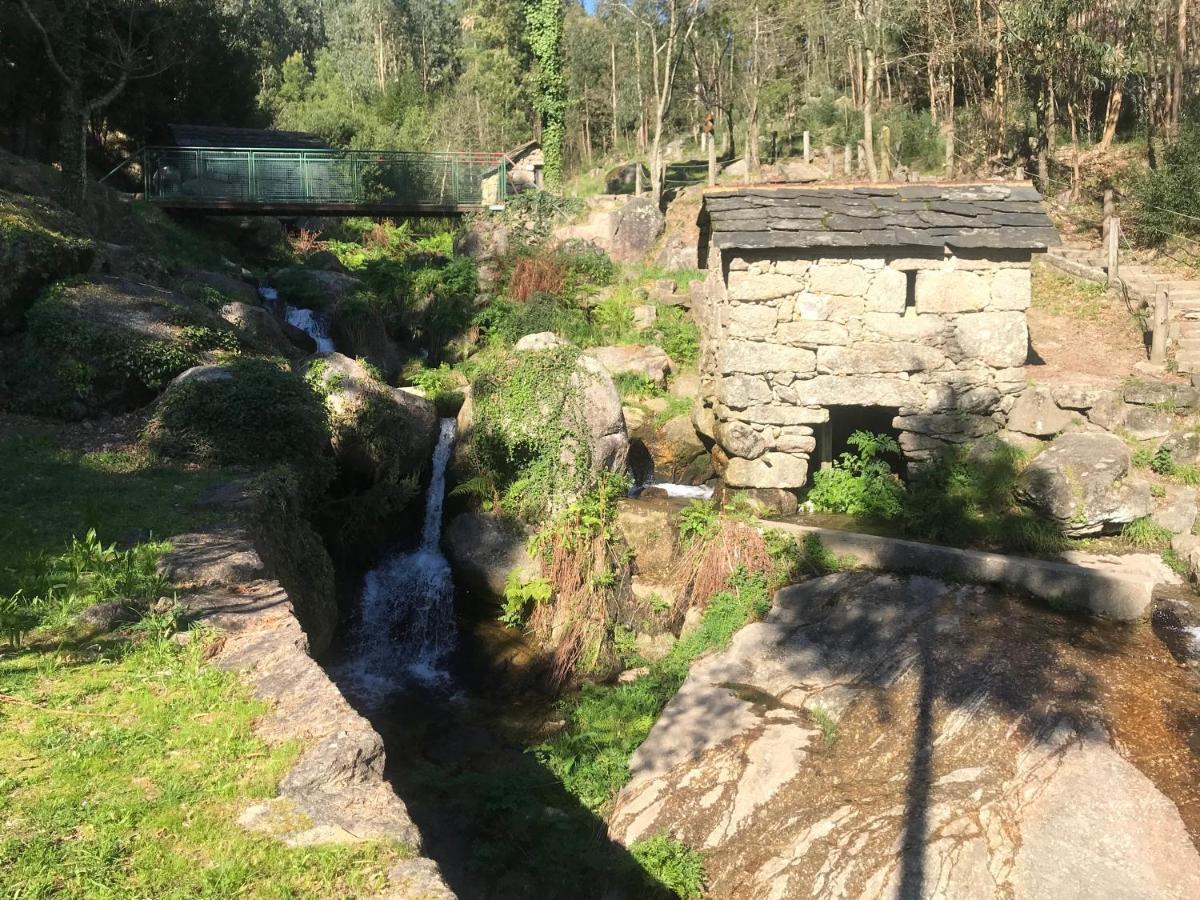 Mira Douro Valley Home Marco de Canavezes Екстериор снимка
